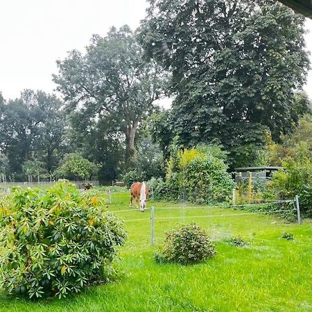 Urlaub In Unserem „Kleinen Haus“ Nindorf  Dış mekan fotoğraf