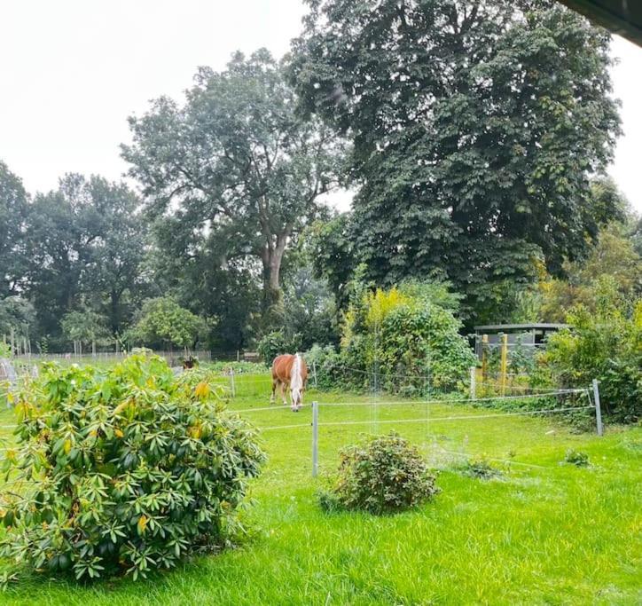 Urlaub In Unserem „Kleinen Haus“ Nindorf  Dış mekan fotoğraf